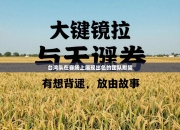 台湾队在赛场上展现出色的团队默契