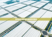 欧洲国家间的激烈角逐即将登场