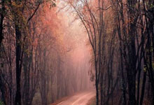 巴黎圣日耳曼中场频频传球失误，遭连败