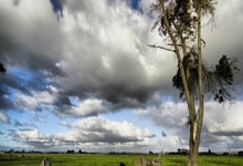 巴黎圣日耳曼中场频频传球失误，遭连败