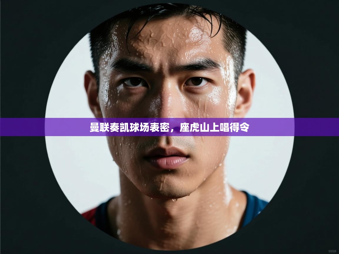 曼联奏凯球场表密,座虎山上唱得令 第2张