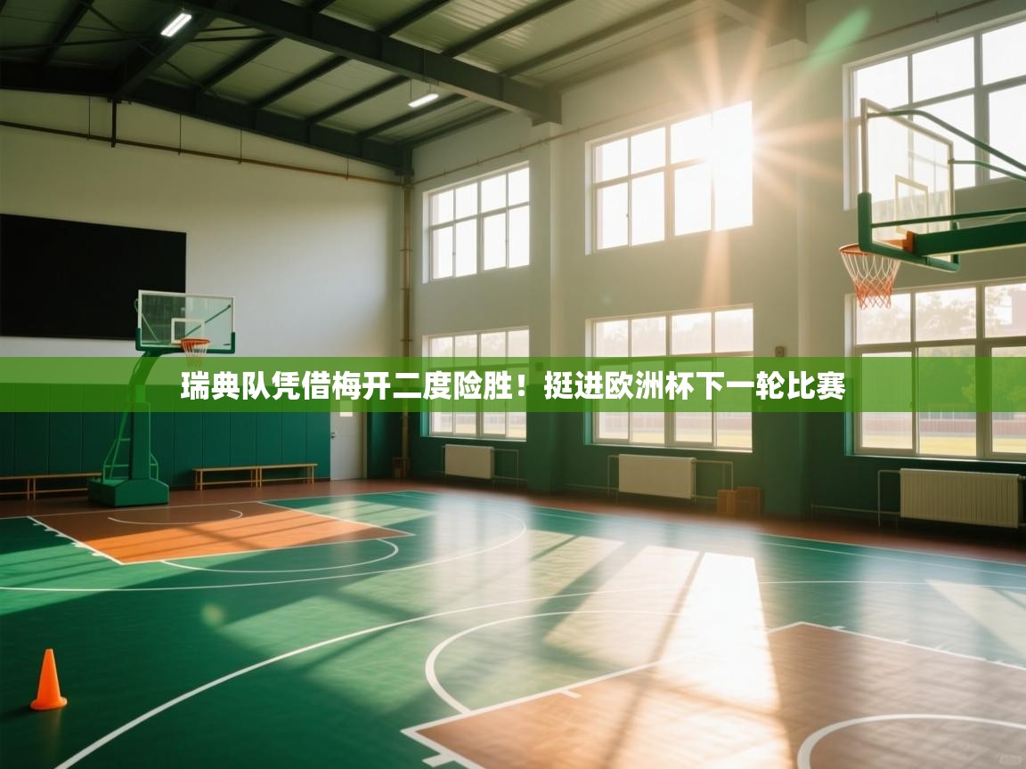 瑞典队凭借梅开二度险胜！挺进欧洲杯下一轮比赛  第1张