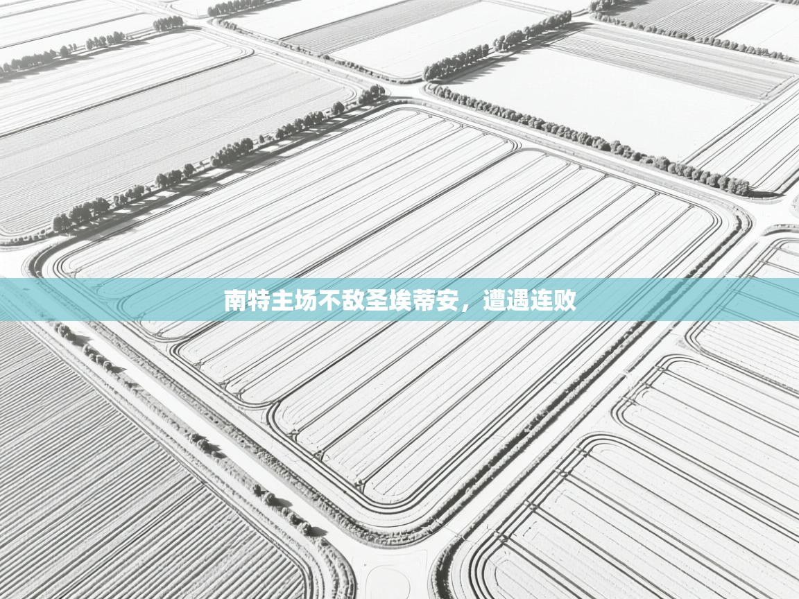 南特主场不敌圣埃蒂安，遭遇连败  第1张